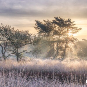 Beegden, Limburg, Landschapsfotografie, frosty morning